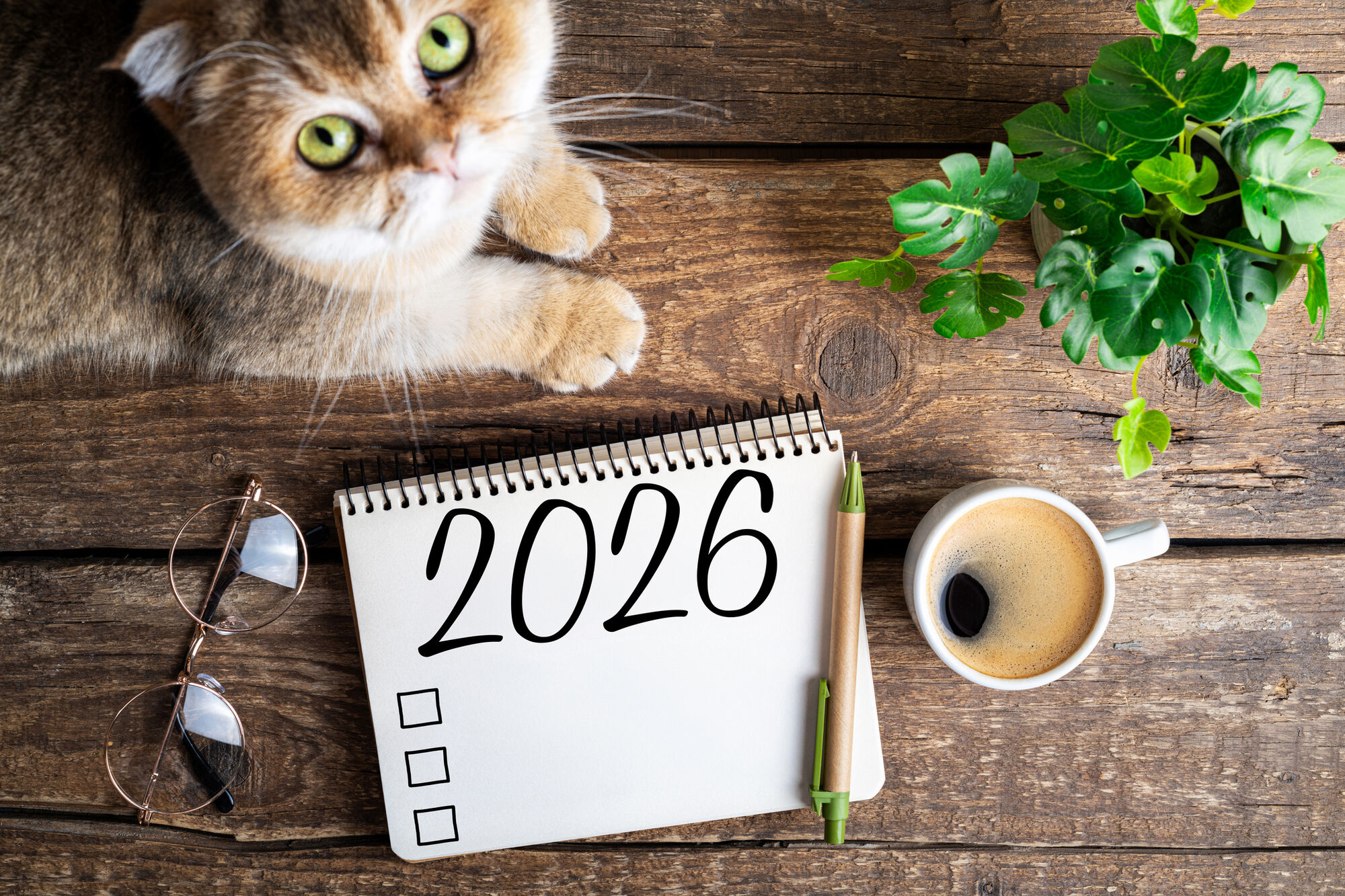 New Year's Resolutions? Can next to 2026 calendar check list