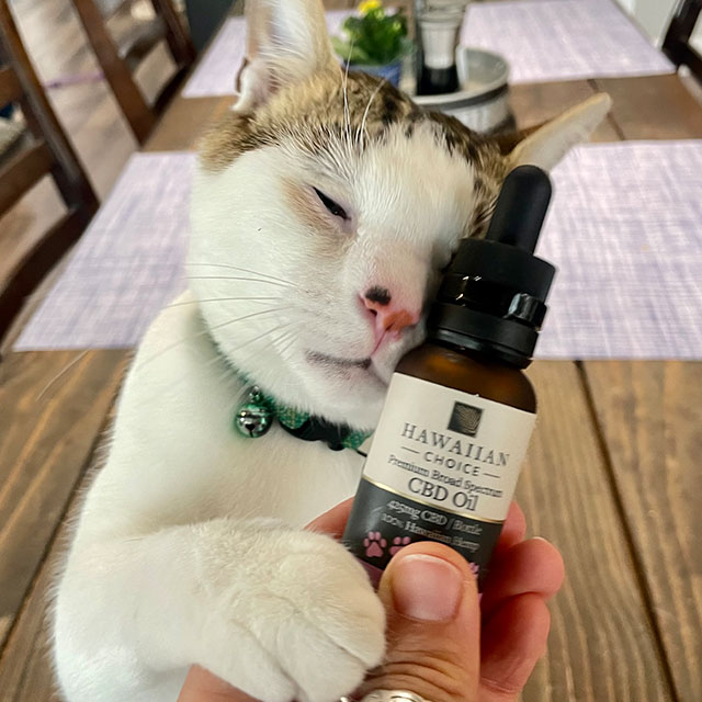 Hawaiian Choice Pet CBD